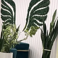 اجاره یک اتاق در مطب زیبایی و زنان